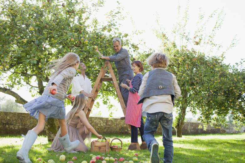 groeien samen betrokken storytelling story